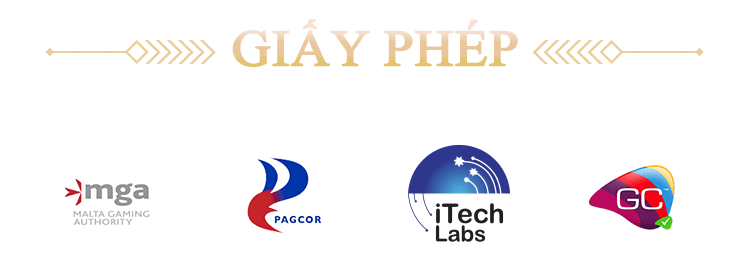 giay-phep